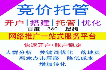 高效SEM托管服务：成功案例深度解析